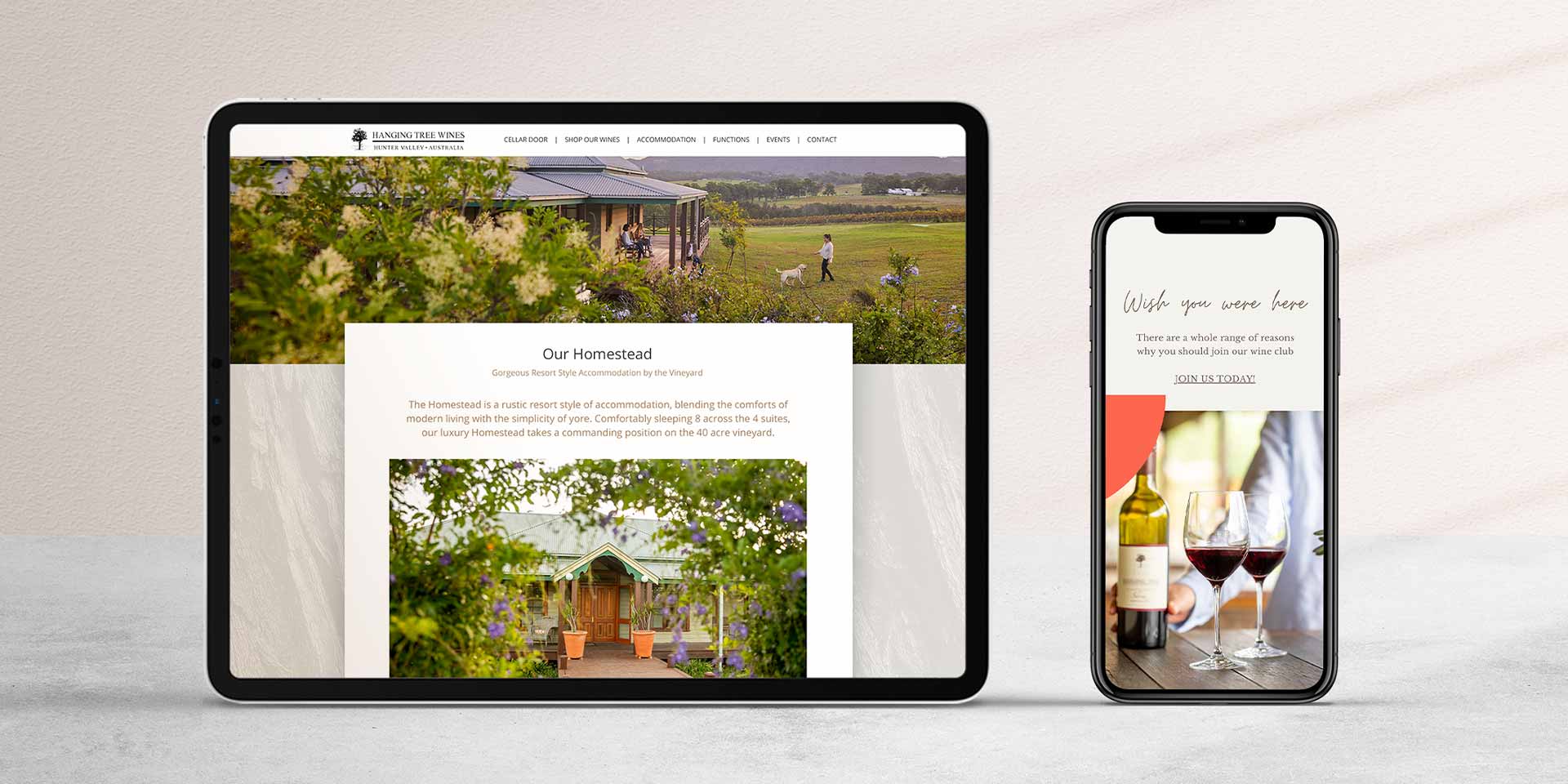 Hanging Tree Wines Website evolution